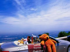 -阳台山自然风景区