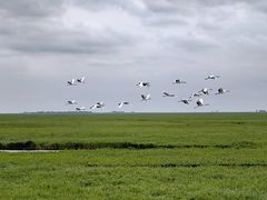 -黑龙江扎龙生态旅游区