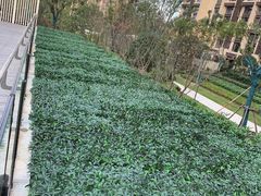 -WEPARK 芳草寓