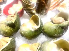 -小天鹅戴斯酒店鲸鲨百汇创作料理