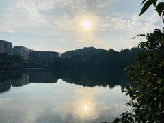 -杭州半山国家森林公园