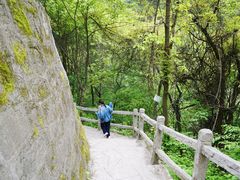 -陕西省红河谷森林公园