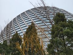 -凤凰中心