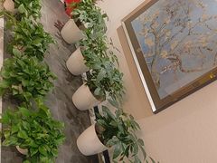 -黑松白鹿(金融街店)