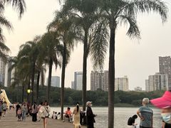 -南宁南湖公园