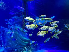 -沈阳海洋探索中心