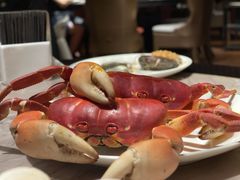 -采悦轩中餐厅·粤菜·海南菜(神州半岛喜来登度假酒店)