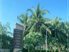 -亚龙湾热带天堂森林公园