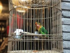 -鱼桥巷·美学川菜