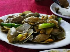豉汁炒花甲-蛇口康乐快餐鱼仔档(翠苑小区店)