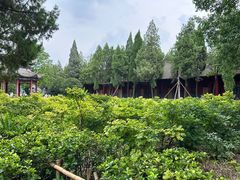 -洛阳白马寺