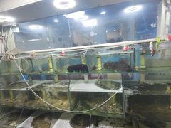 -来之顺海鲜菜馆·青岛菜(栈桥店)