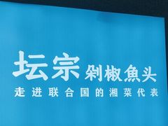 -坛宗剁椒鱼头(河西王府井店)