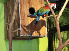 -北京野生动物园