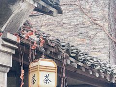 -乌镇东栅景区