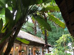 -Trung Nguyen Café Legend