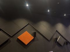 -金逸影城(大悦城IMAX激光店)