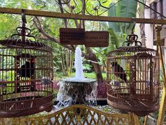 -西双版纳融创皇冠假日度假酒店