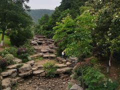-桃花岭景区