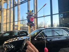 -利星行天竺之星汽车有限公司