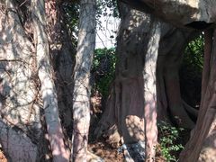 -上海月湖雕塑公园