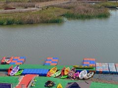 -春花秋色城市公园