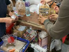 -园圃街雀鸟花园
