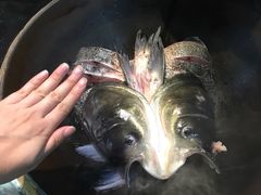 -好灶头妈妈菜·柴火灶台鱼·千岛湖土菜地标美食