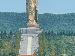 -中原大佛景区