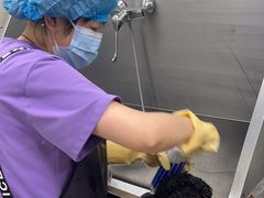 -北京观赏动物医院·24小时大型综合·猫专科·异宠专科