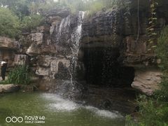 -燕郊植物园