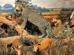 -陕西自然博物馆