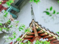 -四川大学(华西校区)