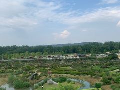 -都江堰玫瑰花溪谷