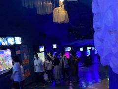 -烟台海昌鲸鲨海洋公园