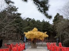 -山叶口景区