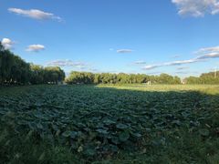 -亲兄弟真人CS团建拓展基地