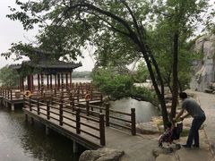 -中国翰园碑林