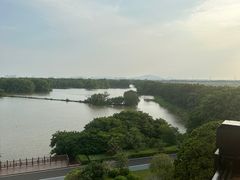 -大湾区中央湿地公园
