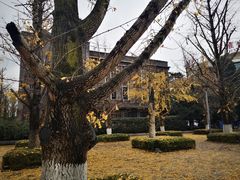 -百林公园-两江幸福广场