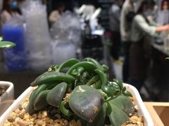 -徐小包(黎阳in巷店)