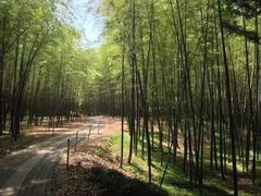 -苏州环秀晓筑养生度假村