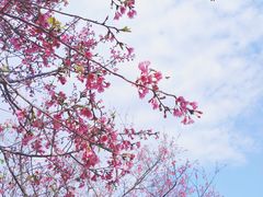 -河源客家文化公园