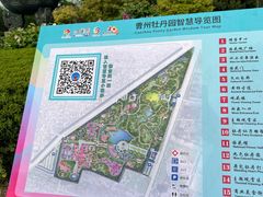 -曹州牡丹园
