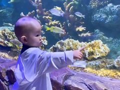 -华夏文旅海洋公园