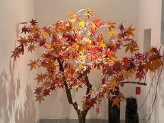 -和里合·颜愈SPA·Relax瑶浴·Massage(石厦店)