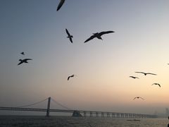 -星海湾跨海大桥