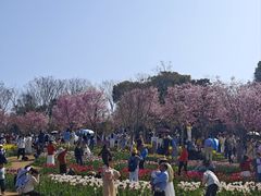 -凤凰沟景区