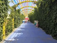 -金塔沙漠胡杨林景区