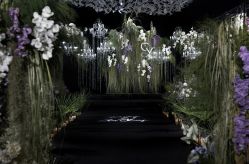 -琥珀婚礼策划AMBER WEDDING